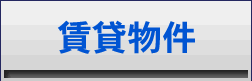���ݕ�����